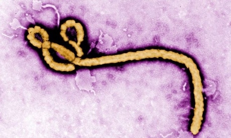 هل يمكن الوقاية من مرض إيبولا؟